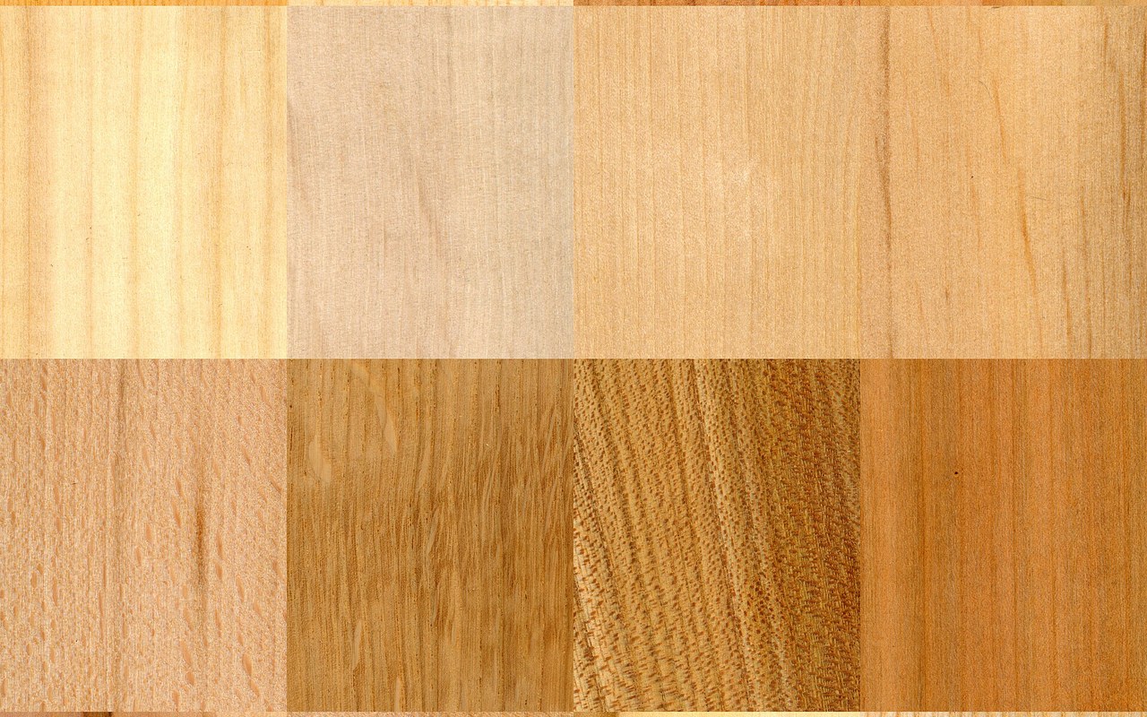 Sixteen labeled wood samples showing different grain and color